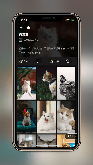 纸塘壁纸 无限制手机软件app截图