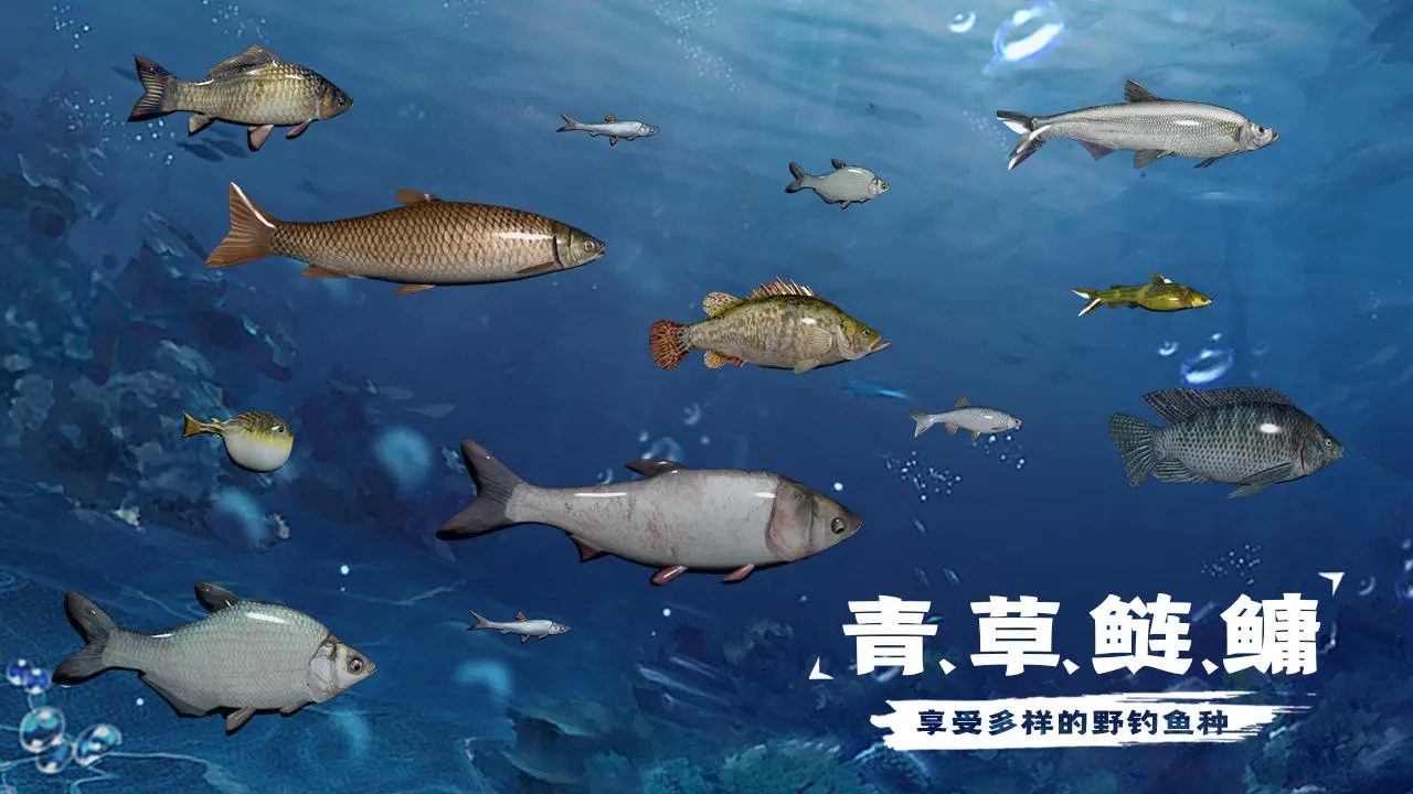天天钓鱼 正版老旧版手游app截图