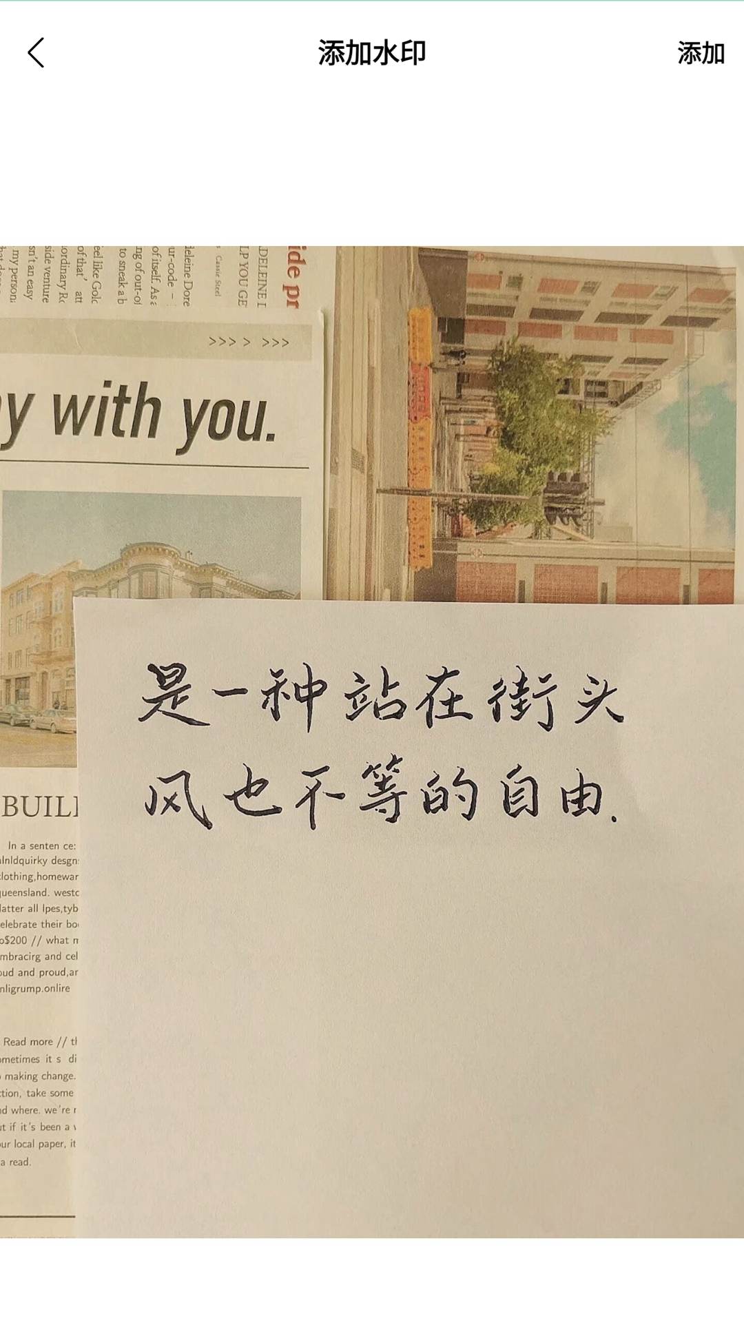 色虎视频手机软件app截图