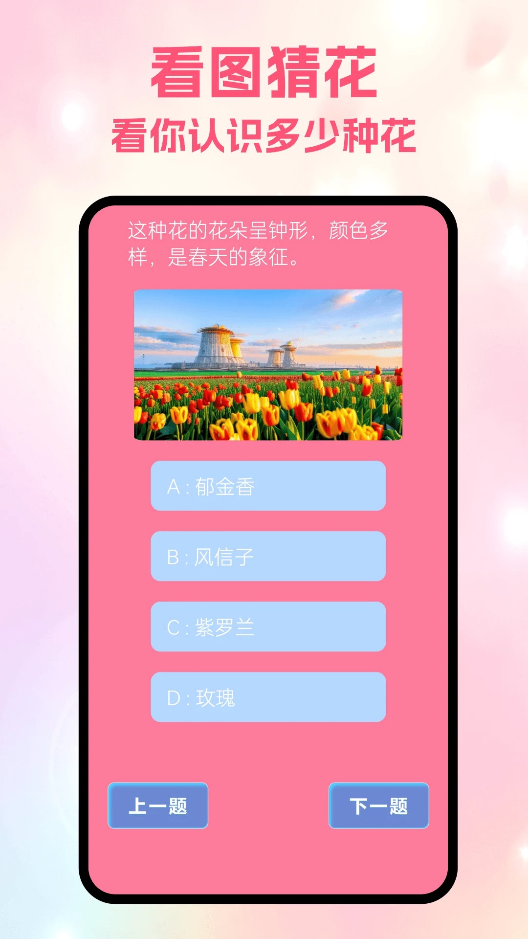 风信手机软件app截图