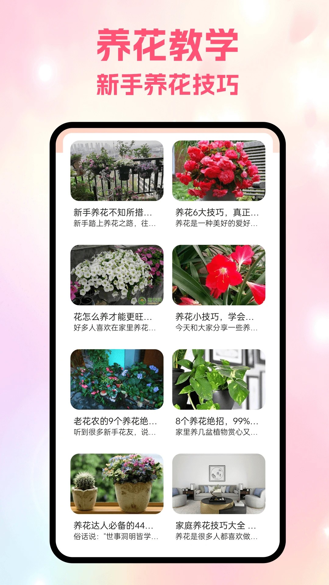 风信手机软件app截图