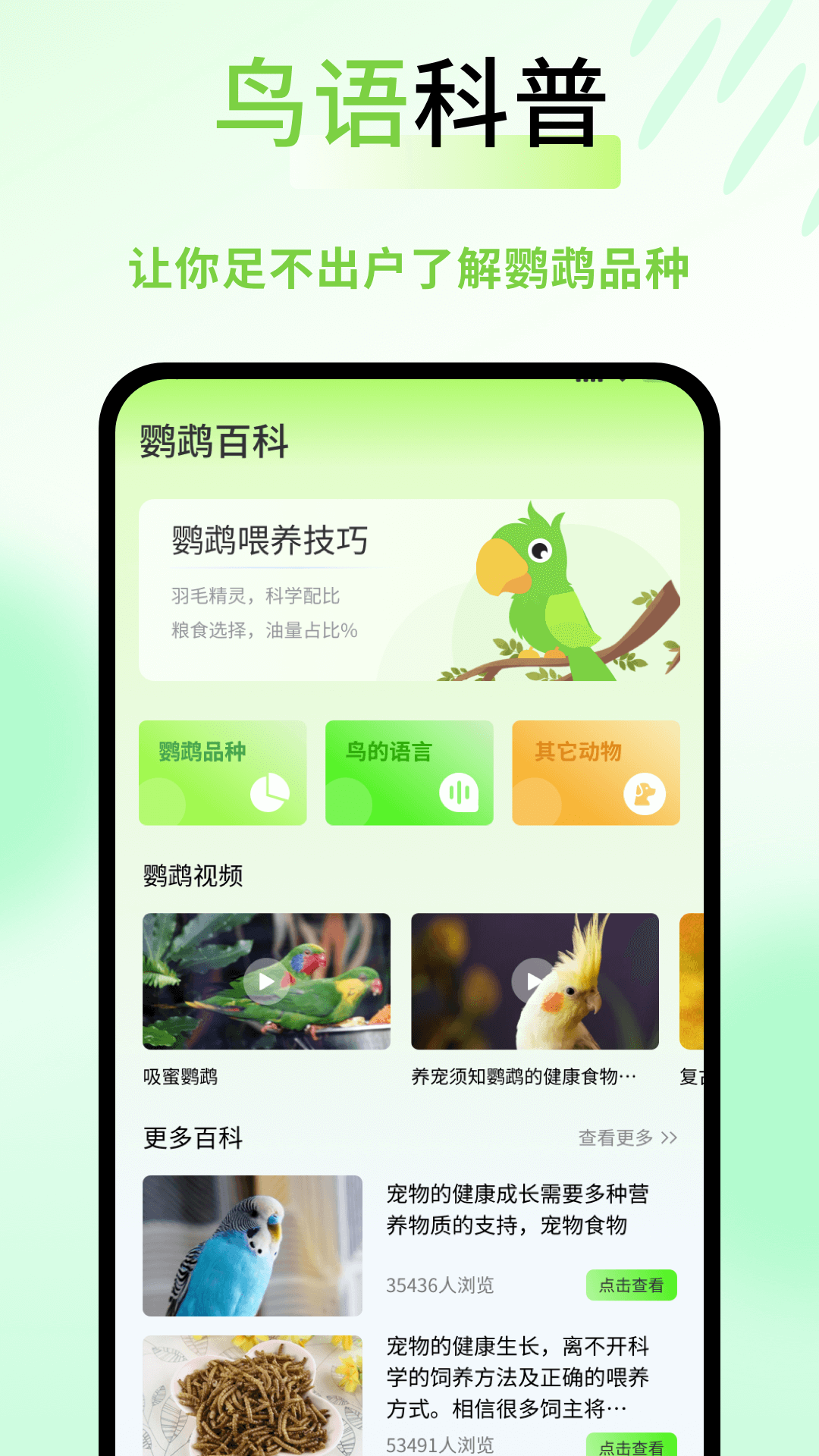 鹦鹉语言翻译器手机软件app截图