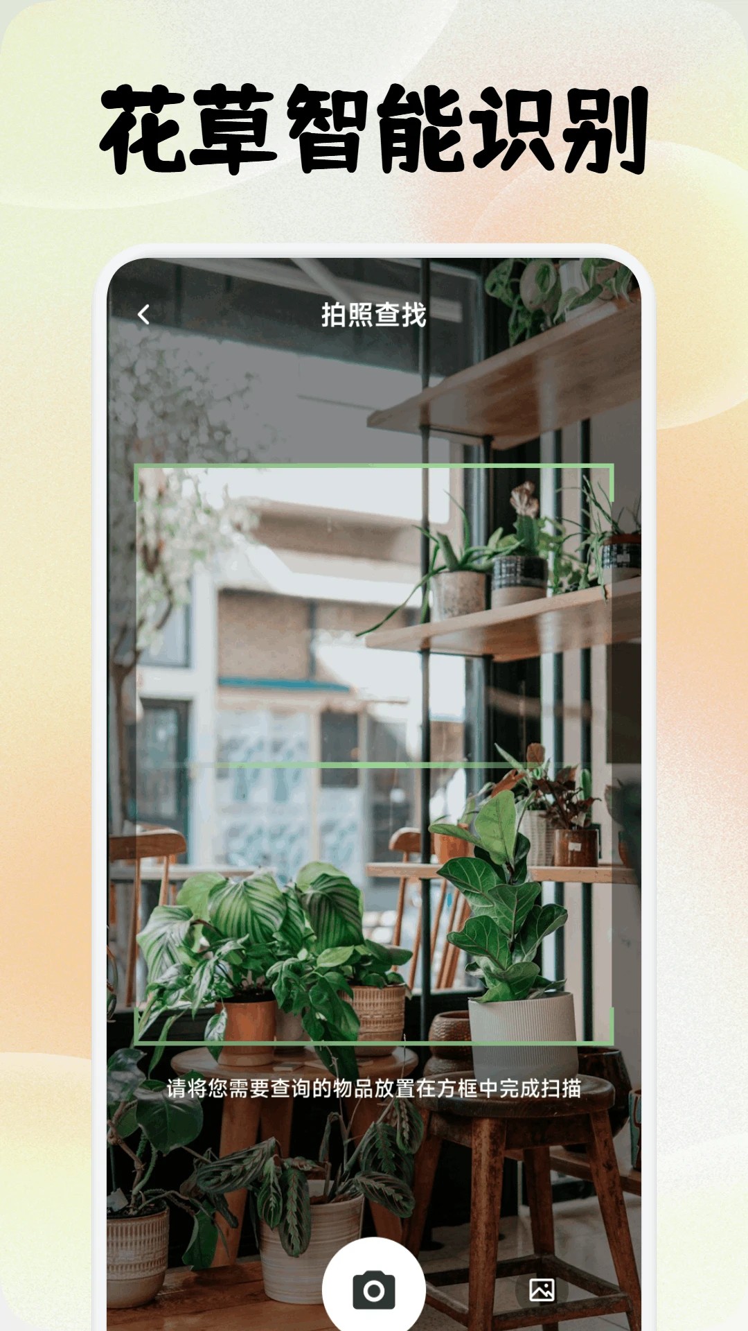 点点花开手机软件app截图