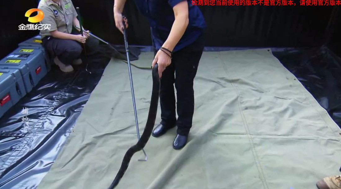 即刻TV 官网版手机软件app截图