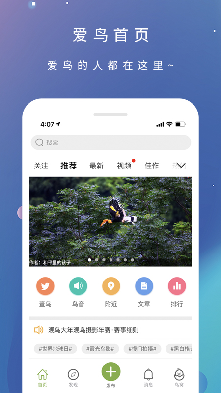 爱鸟手机软件app截图