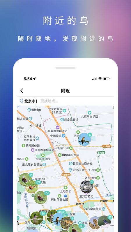 爱鸟手机软件app截图