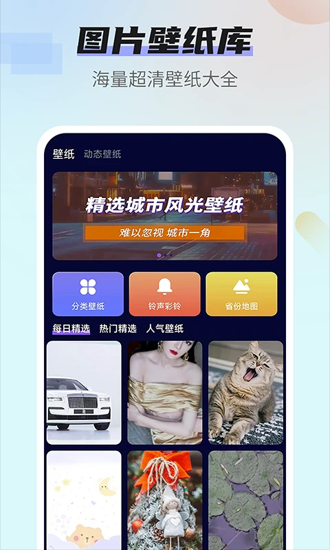 番茄动态壁纸 官方正版手机软件app截图
