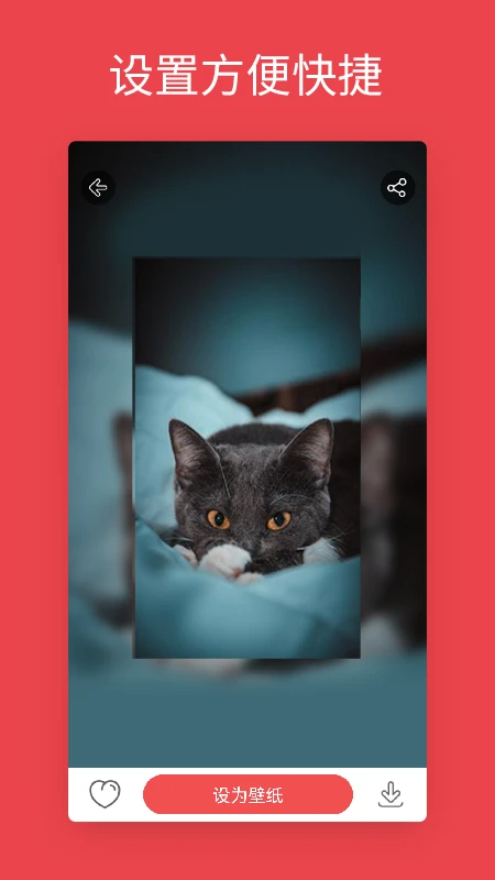 安卓动态壁纸 旧版手机软件app截图