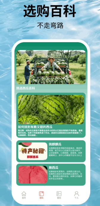 福运西瓜手机软件app截图