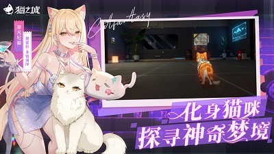 猫之城 正版手游app截图