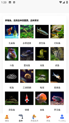 兼职养鱼赚钱手机软件app截图