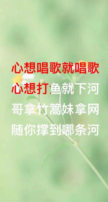 山歌宝典手机软件app截图
