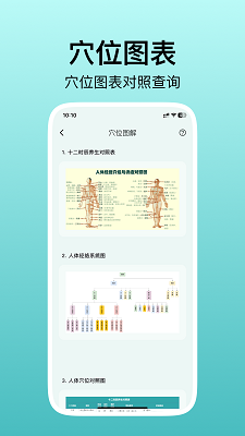 人体穴位图解手机软件app截图