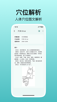人体穴位图解手机软件app截图