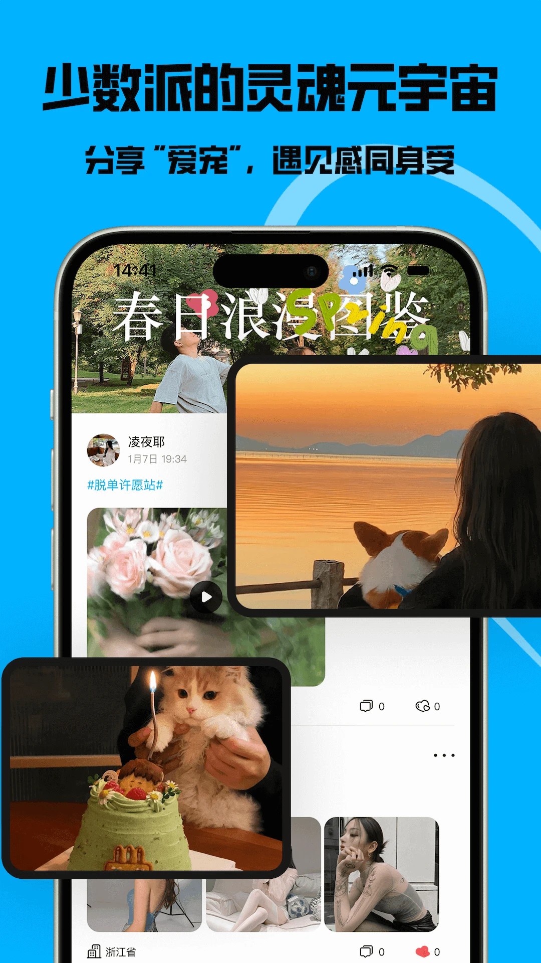 猫匿手机软件app截图