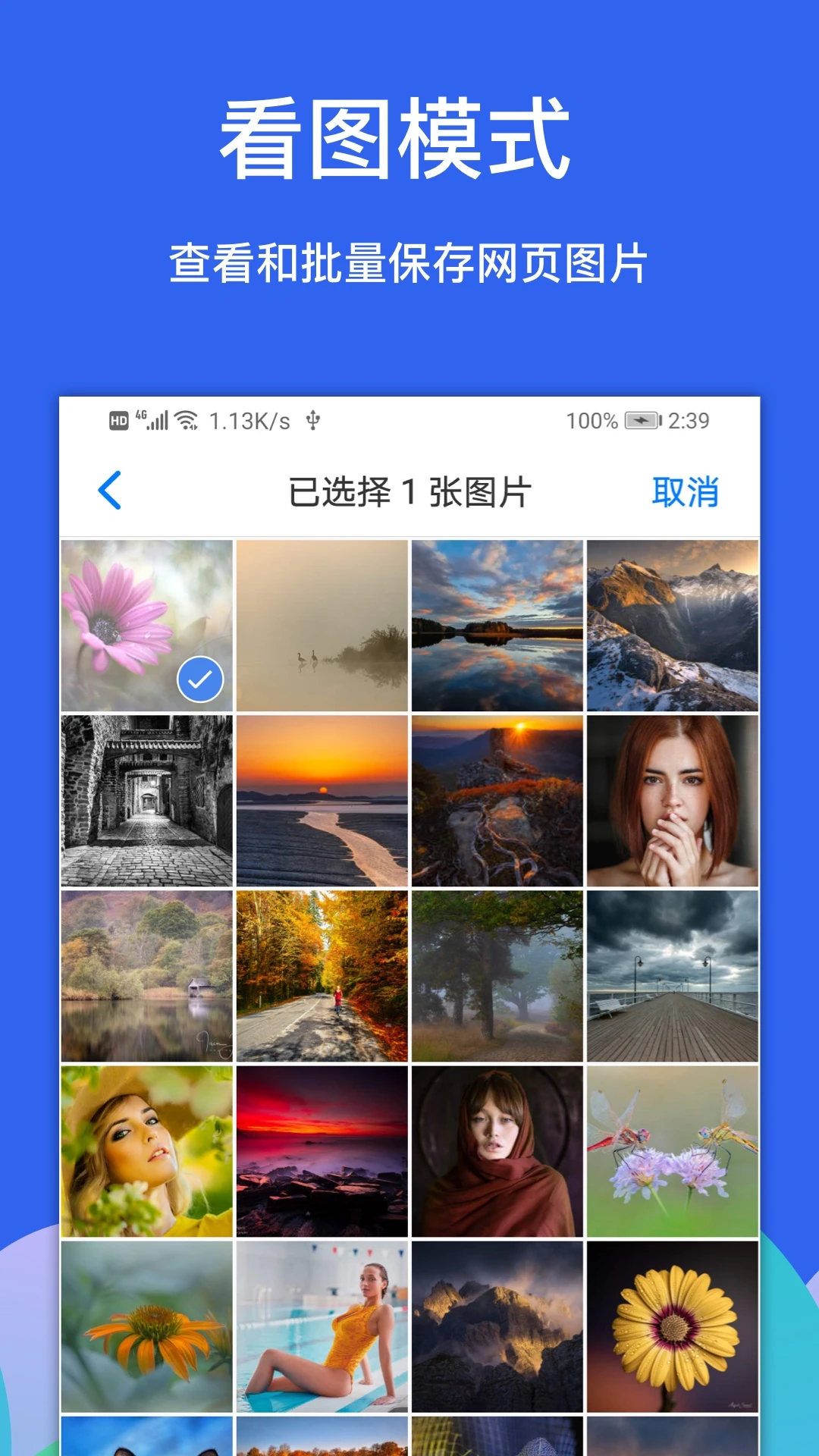 Alook浏览器手机软件app截图
