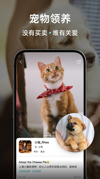 Wellcee唯心所寓手机软件app截图