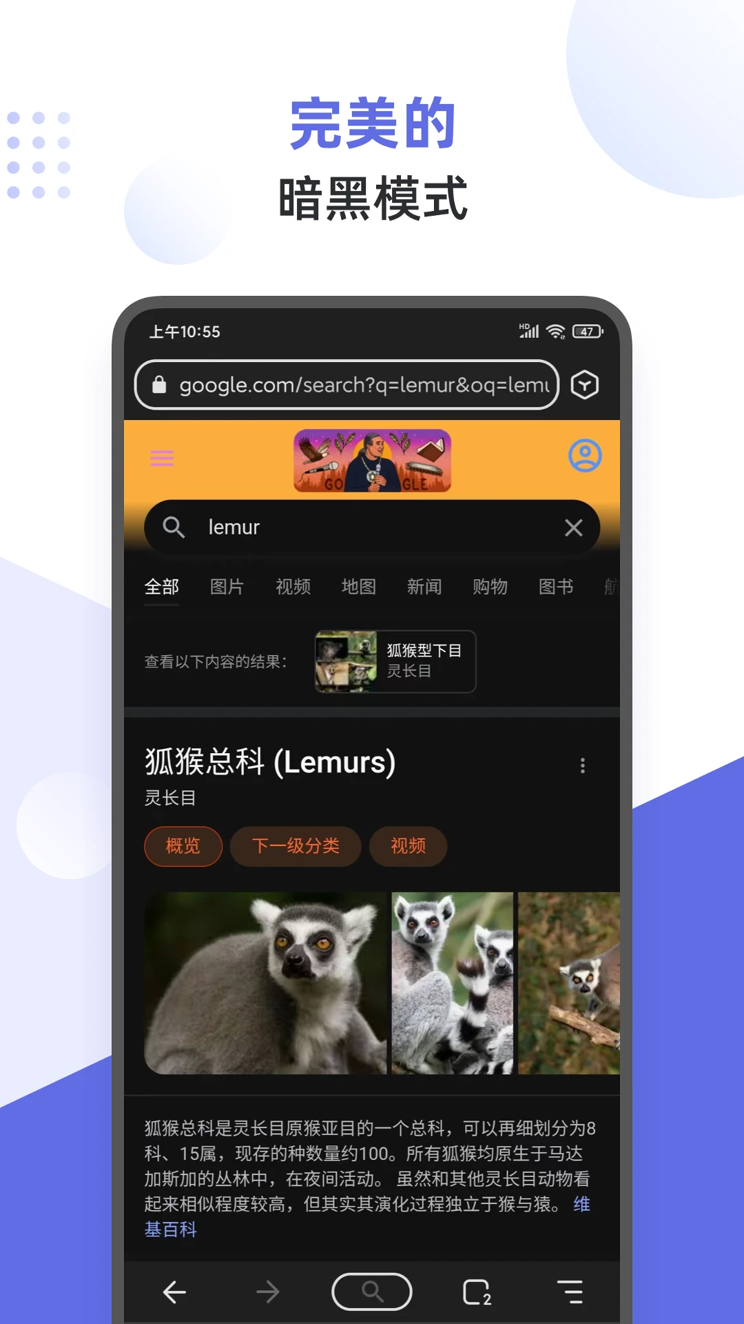 狐猴浏览器 官网版手机软件app截图