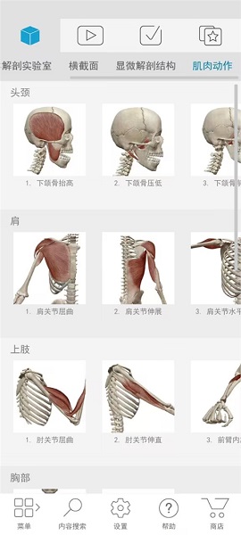 atlas人体解剖手机软件app截图