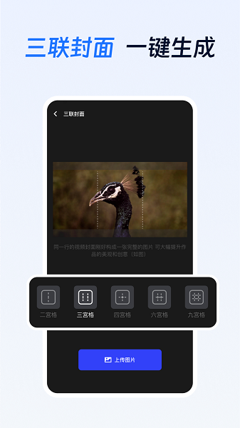项侠客手机软件app截图