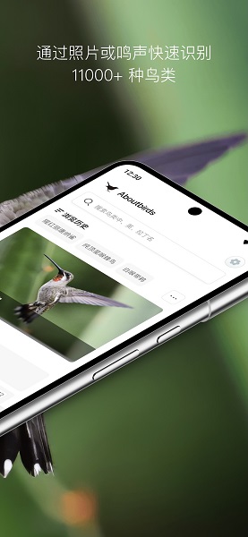 懂鸟手机软件app截图 懂鸟手机软件app截图