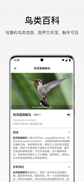 懂鸟手机软件app截图 懂鸟手机软件app截图