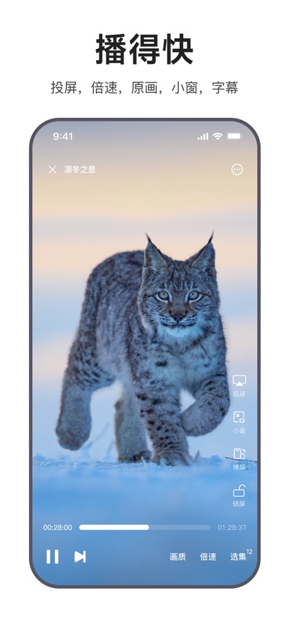 迅雷浏览器 官方版手机软件app截图