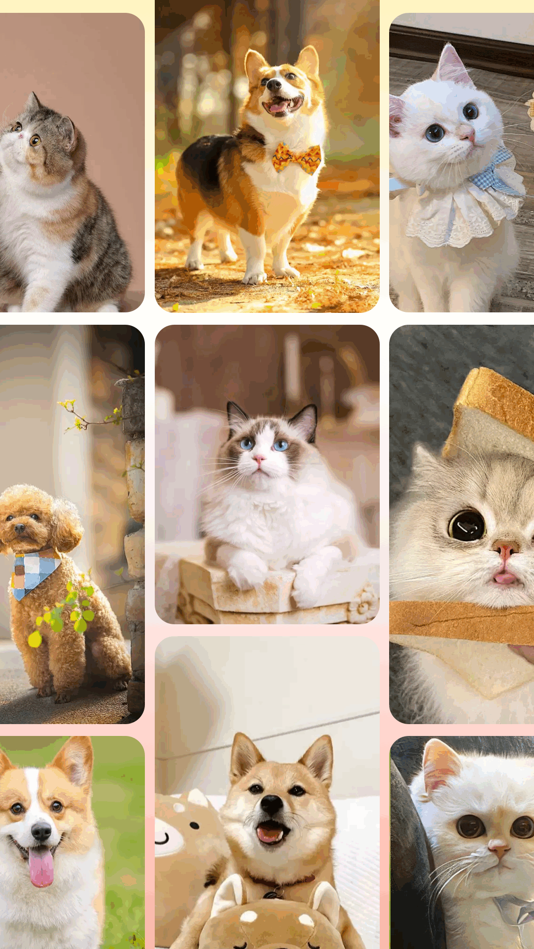 魅影MY手机软件app截图