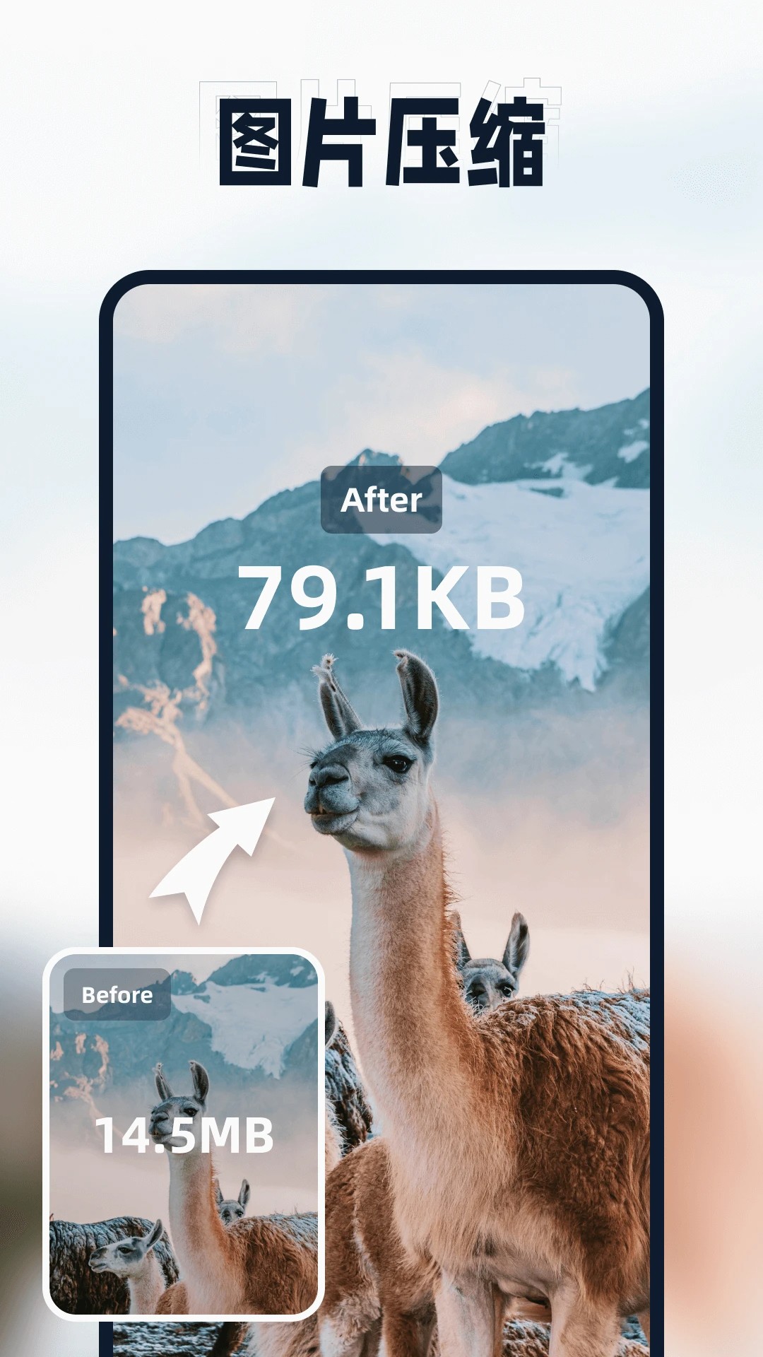迅捷压缩手机软件app截图