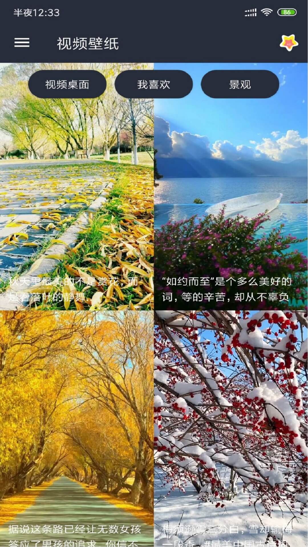 视频壁纸 手机版手机软件app截图