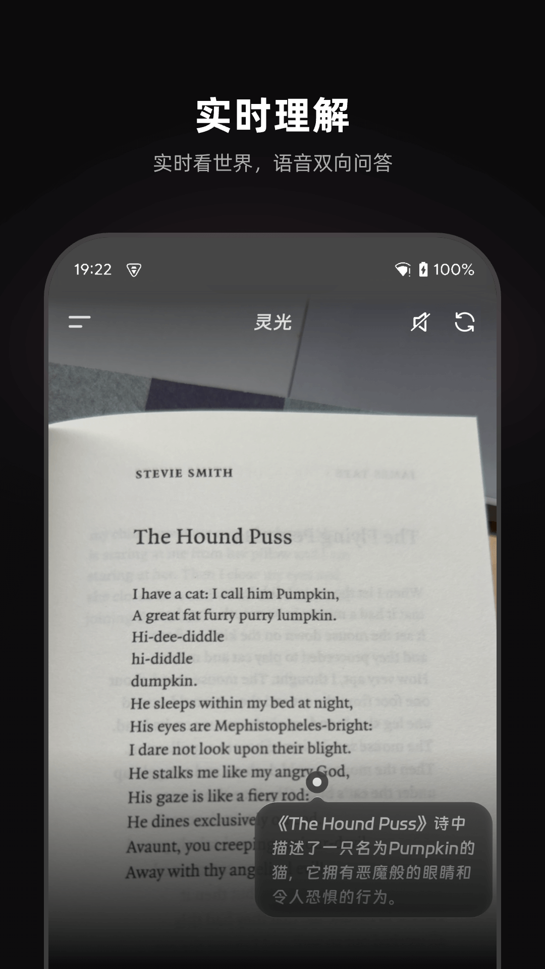 灵光 专业版手机软件app截图