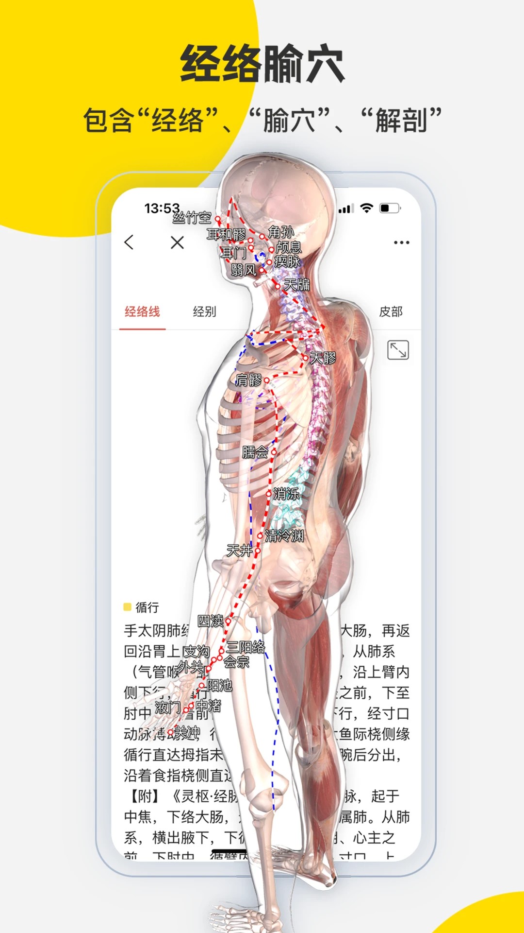 3Dbody解剖 解锁vip版手机软件app截图