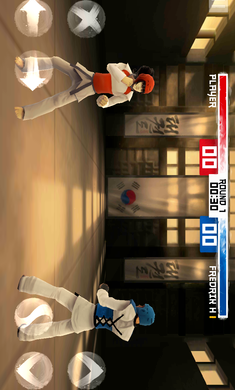 跆拳道大奖赛 中文版手游app截图