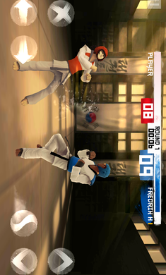 跆拳道大奖赛 完整版手游app截图