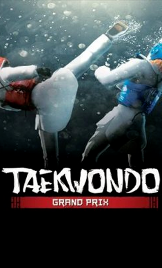 跆拳道大奖赛 完整版手游app截图