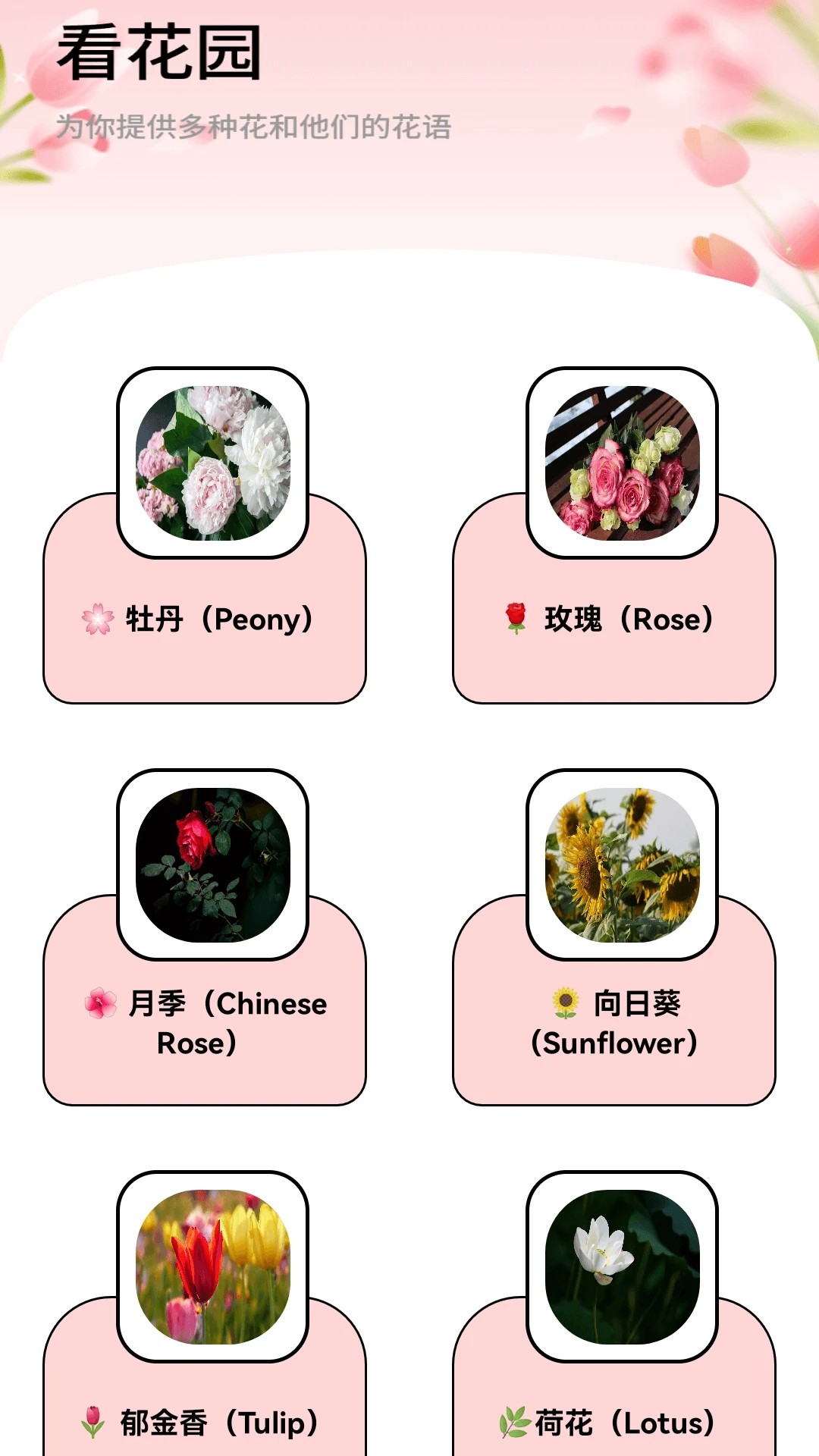 月光短剧 红包版手机软件app截图