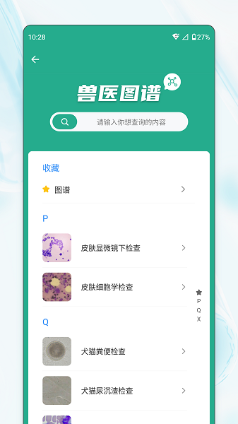 宠壹堂手机软件app截图