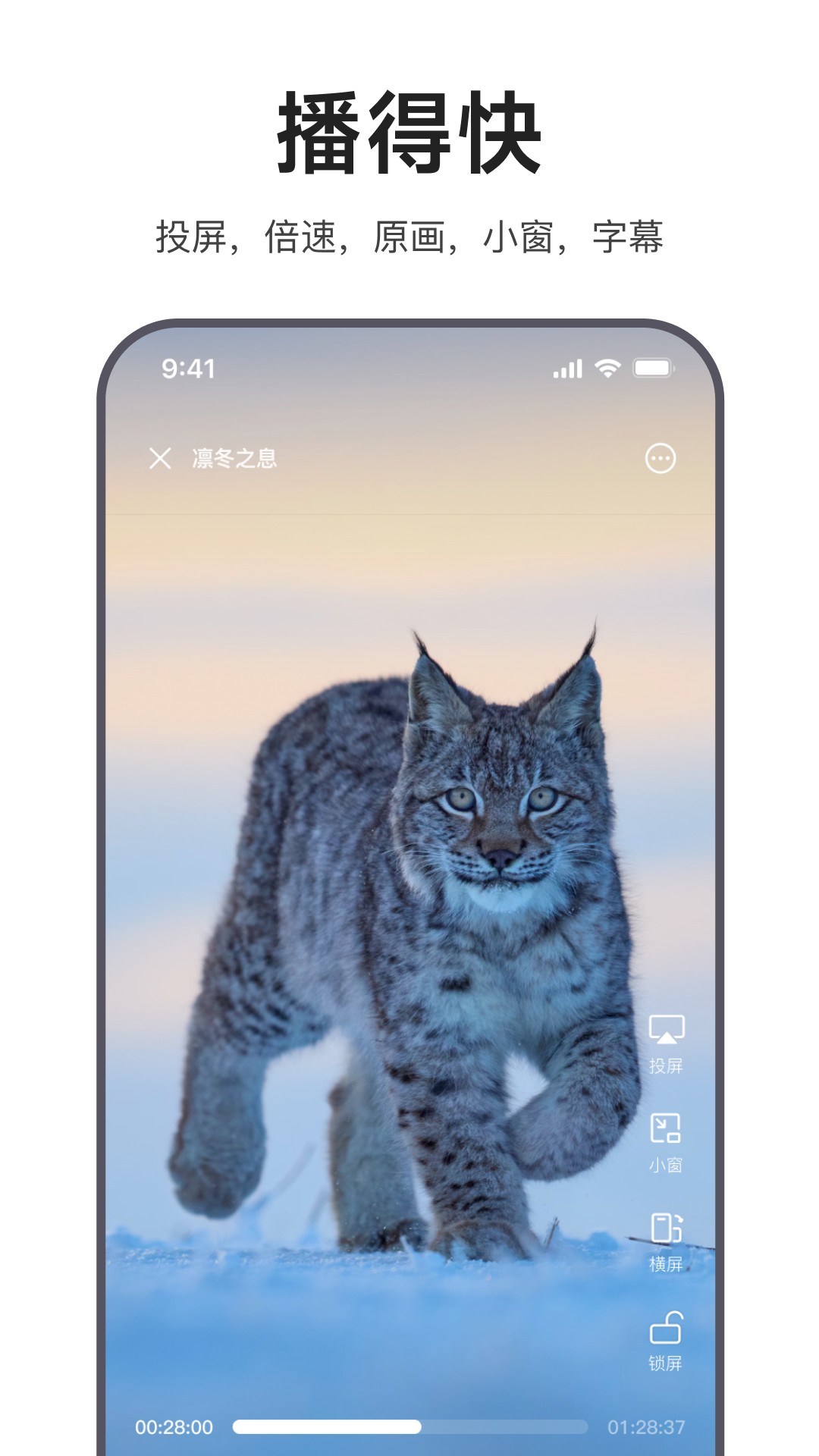 迅雷浏览器 老版本手机软件app截图