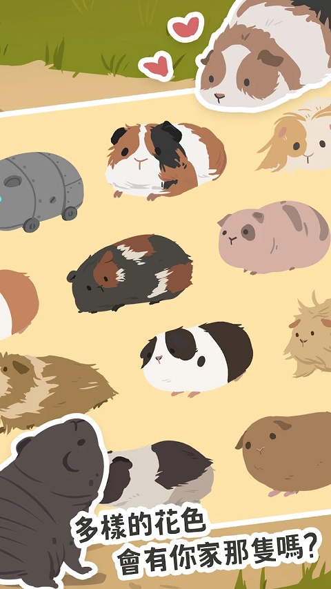 天竺鼠农场 官网版手游app截图