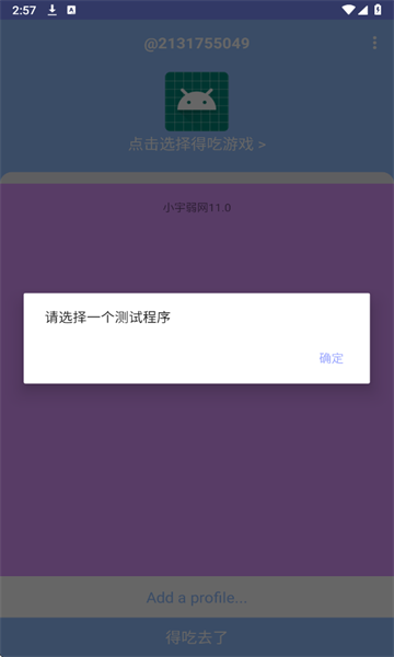 小宇弱网 11.0配置参数手机软件app截图