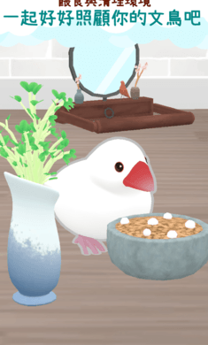 文鸟物语手游app截图