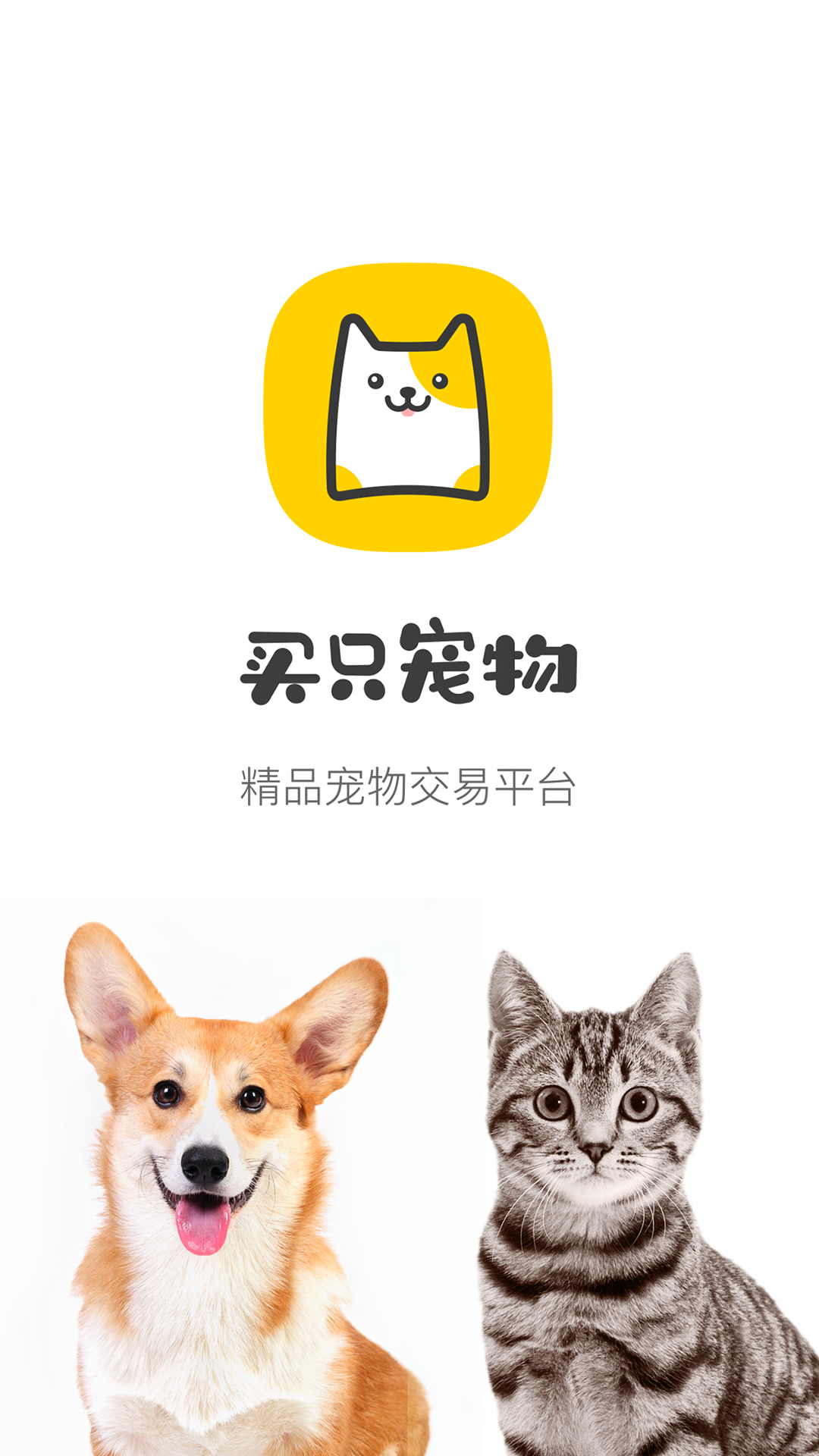 买只宠物手机软件app截图