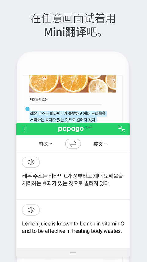 Papago 2026最新版手机软件app截图