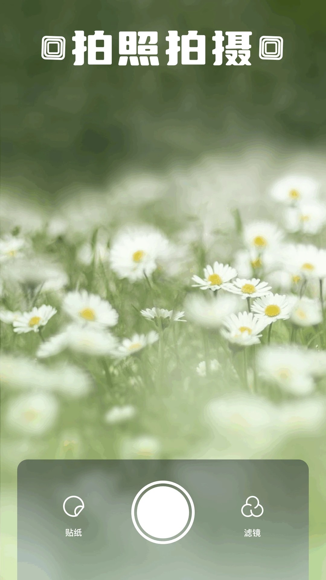 Z动漫 在线观看完整版手机软件app截图