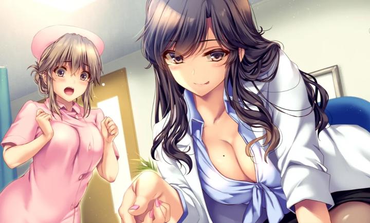 我和她(护士)的研修日志 汉化版手游app截图