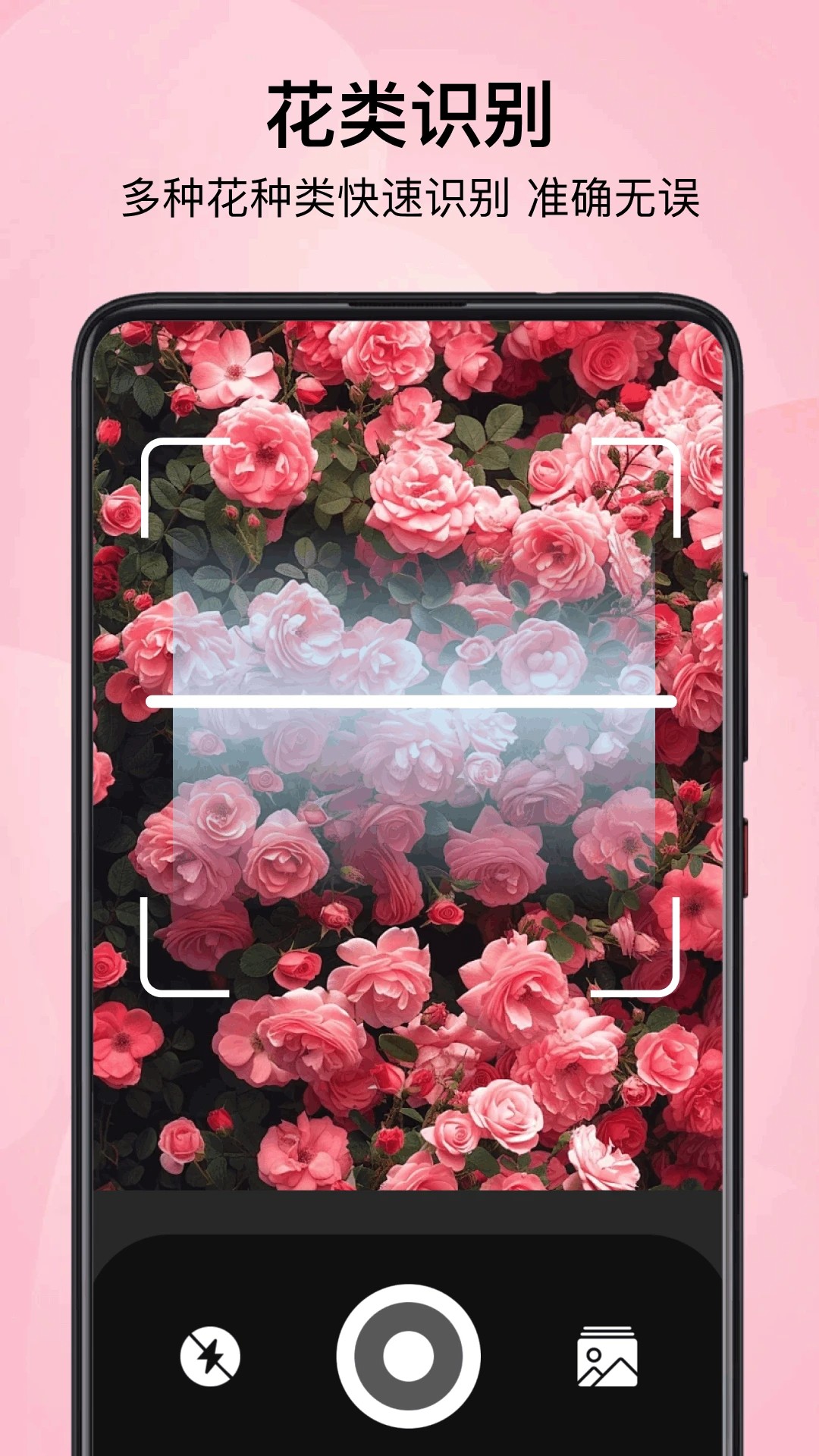 小园丁追剧 极速版手机软件app截图