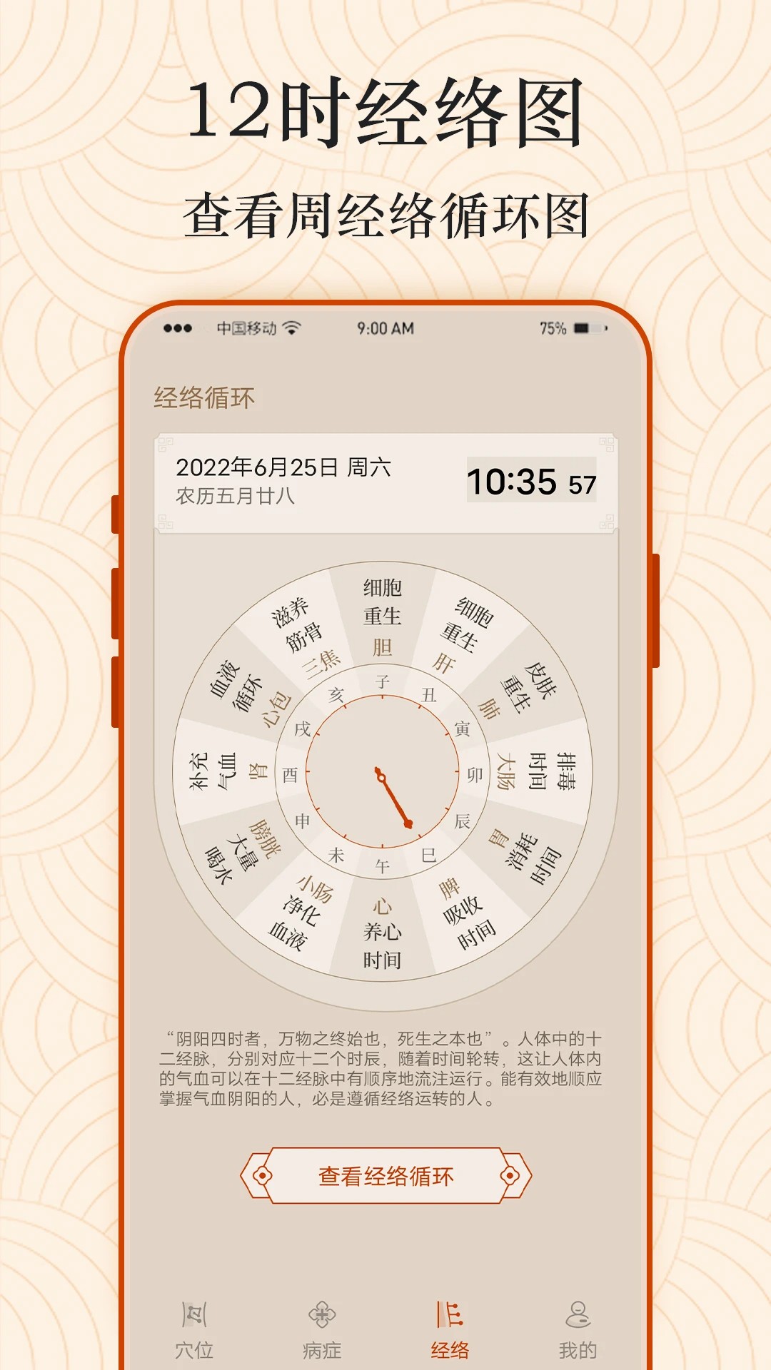 经络图解手机软件app截图