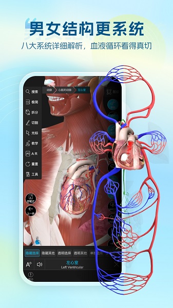 维萨里3D解剖手机软件app截图