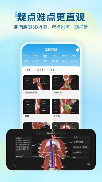 维萨里3D解剖手机软件app截图