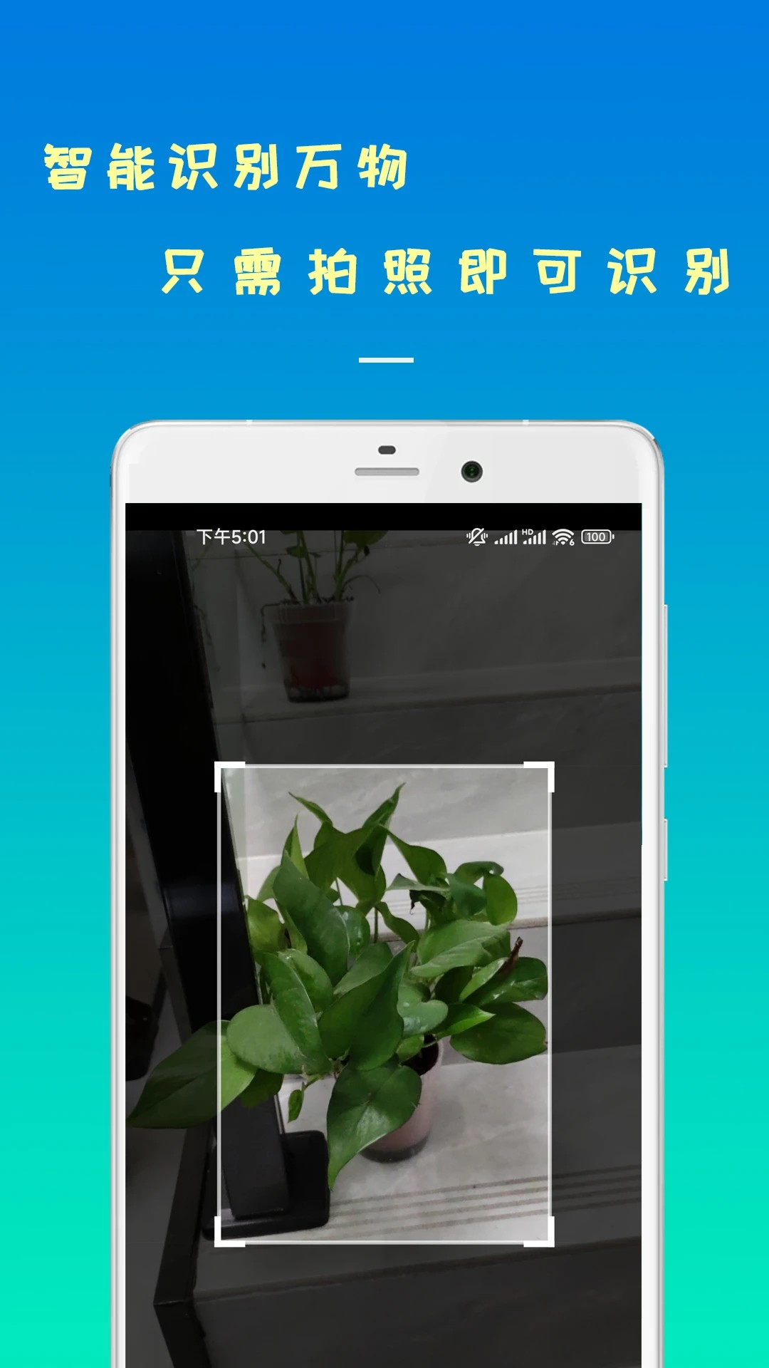 智能识物手机软件app截图